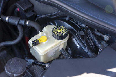 2006 BMW Z4 M Coupe in Sepang Bronze Metallic over Light Sepang Bronze Extended Nappa