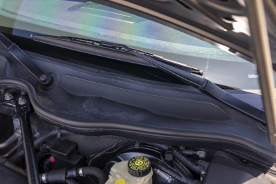 2006 BMW Z4 M Coupe in Sepang Bronze Metallic over Light Sepang Bronze Extended Nappa