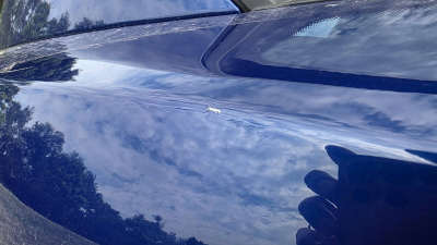 2007 BMW Z4 M Coupe in Interlagos Blue Metallic over Black Nappa
